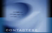 Contáctese